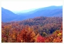 fall